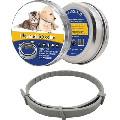 Pet Cat Dog Collar Waterproof Anti Flea Tick Lice Insect Repelling Collar Plant Extract Mites For Cats Dogs 8 Months Protection