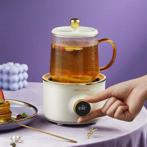 500ml Portable Electric Kettle Health Pot Smart Stew Cup Glass Teapot Multifunction Electric Stove Heating Cup Slow Cooker 220V