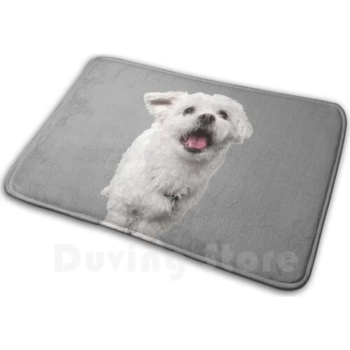Attention Puppy Mat Rug Carpet Anti-Slip Floor Mats Bedroom Dog Puppy Animal Perro Pera Doggy Smile Laugh Funny Attention Hang
