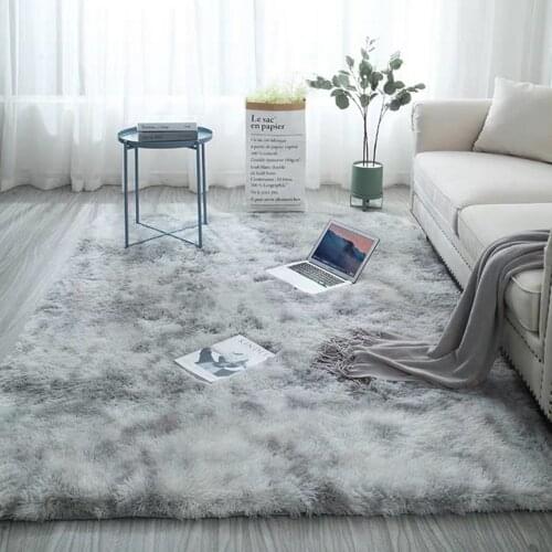 Thick Plush Carpet for Living Room Decor Fluffy Rug Bed Room Carpets Anti-slip Floor Soft Rugs Kids Room Home Decor Rugs