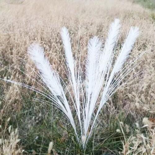 10 Artificial Peacock Grass Wedding Props Flower Phoenix Feather Flying Grass Leaf Reed Onion Decorative Props