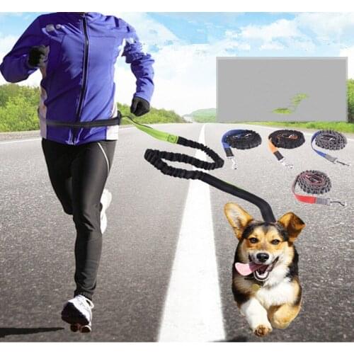 New Reflective Leash Traction Rope Pet Dog Running Belt Elastic HandsFreely Jogging Pull Dog Leash рулетка для собак