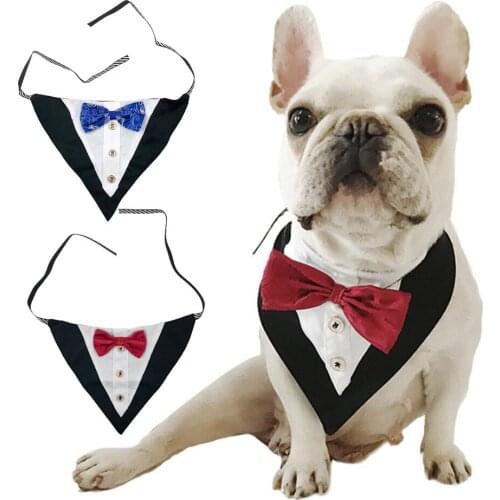 Hoopreety Dog Accessories