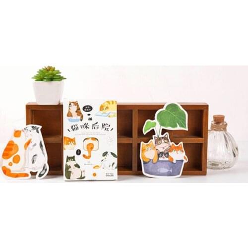 Popu·pine  China