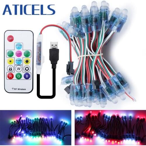 50PCS WS2811 Pixel LED Module RGB 12mm Node 5V Full Color RGB LED String IP68 Waterproof Christmas Light