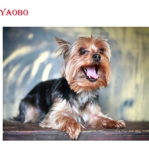 Full Round Diamond Embroidery Animal Yorkshire Terrier Dog Diamond Painting Cross Stitch Diamond Mosaic Needlework Easter gift