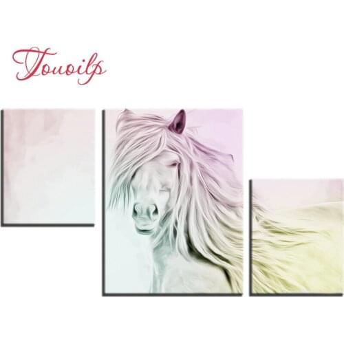 3pcs,Full,square&round Diamond Embroidery,Animal horse 5d Diamond Painting,Cross Stitch,3D,Diamond Mosaic,diamond pattern,Crafts