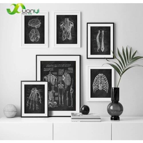 Vintage Poster Human Anatomy Black White Medical Wall Picture Skeleton Organ Muscle System Canvas Print Body Education Painting
