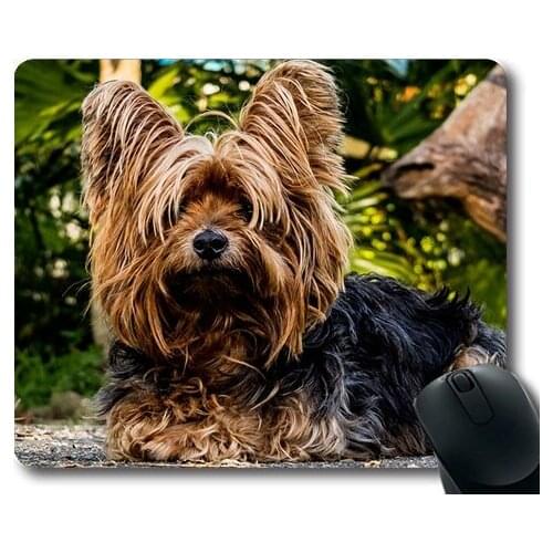 Dogs puppies pets Mouse Pads,Dog Yorkshire Terrier Small Dog,dogs mouse mat