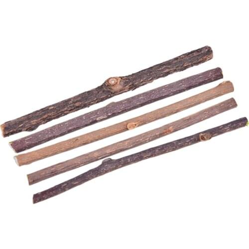 5Pcs Natural Catnip Pet Cat Molar Toothpaste Stick Matatabi Actinidia Fruit Silvervine Cat Snacks Sticks Pet Cleaning Teeth