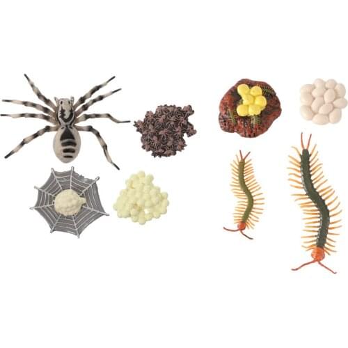 2 Sets Food Chain Animal Figurines Life Cycle Models of Tarantula and Centipede