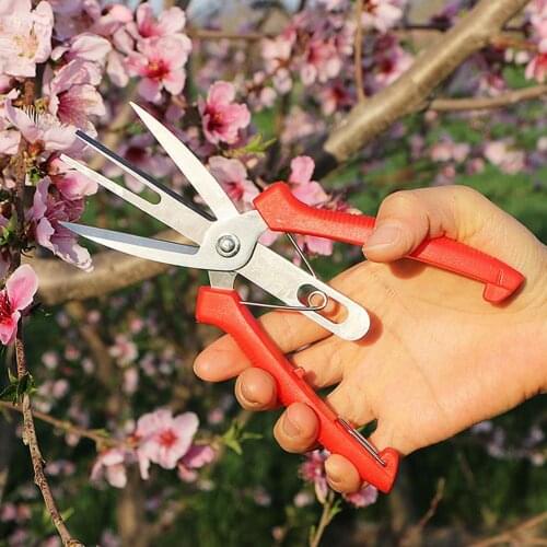 Double-port Fruit And Flower Thinning Shears Fruit Picking Shears Gardening Pruning Shears Fruit Tree Pruning Tools DropShipping