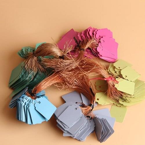 100PCS Colorful Plant Markers Garden Bonsai Succulent Seedings Tags Sign PVC Gardening Labels Stake on Soil Paint Sticks