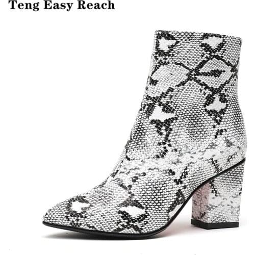 Teng Easy Reach Women Zipper Boots Snake Print Ankle Boots Square heel Fashion Pointed toe Ladies Sexy shoes 32-43