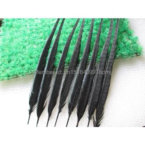 Wholesale 200 / lot beautiful black pheasant feathers 20-22 inches / 50-55 cm free shipping
