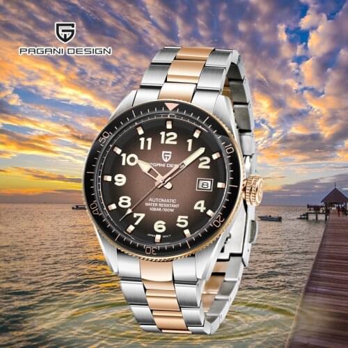 PAGANI DESIGN Mens Watches Top Brand Luxury Wristwatch Automatic Mechanical Watch Men Fashion Waterproof Watch Relogio Masculino