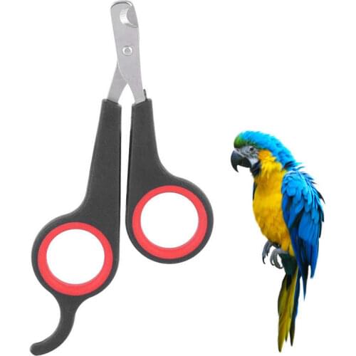 Bird Parrot Durable Nail Scissors Clipper Grooming Tool Black and Red Toy For Parrot Small Animals Accessory
