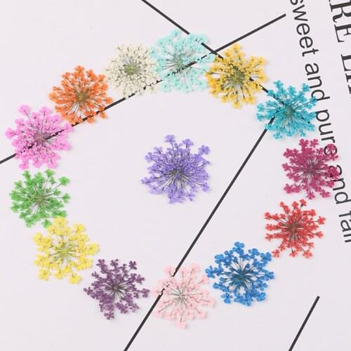 Natural Dried Flower Pressed Dried Flower For Epoxy Resin Pendant Necklace Jewelry Craft DIY Accessories Artificial Flower Decor