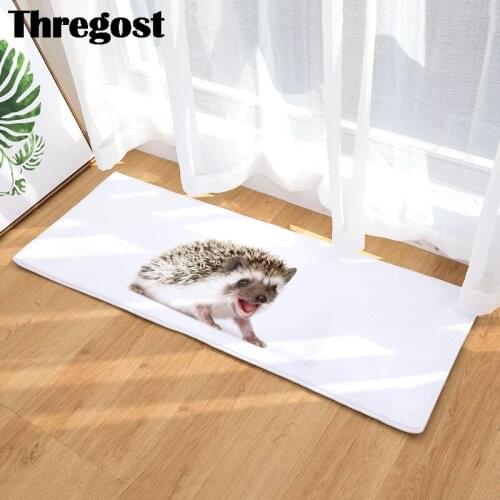 Entrance Door Mat Washable Microfiber Bathroom Carpets Anti-slip Kitchen Mats Dining Room Table Floor Rugs Office Chair Foot Pad