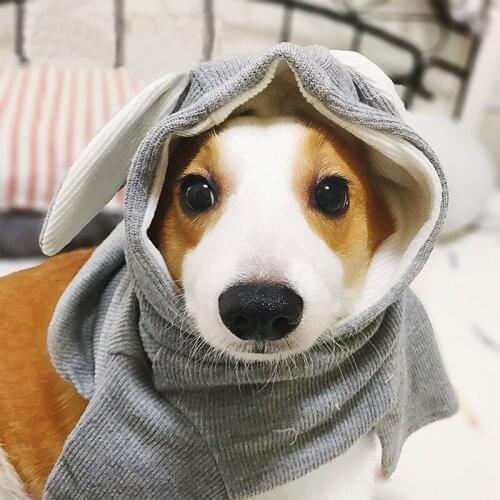 Cotton Chihuahua Cute Rabbit Ears Soft Hoodies Pet Dog Clothes for Small Dogs Pets Clothing French Bulldog Pug Costume