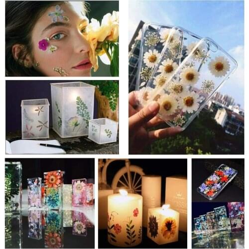 24 Pcs/Set DIY Mixed Dried Flowers Resin Mold Fillings UV Expoxy Flower for Nail Art Pressed Flowers Decal for Home Decor Handic