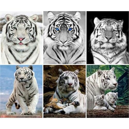 LZAIQIZG Full Square/Round Diamond Painting Beautiful White Tiger Diamond Embroidery Animal Picture Wall Decoration Hobby Craft