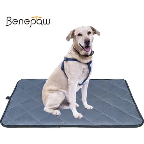 Benepaw All season Bite Resistant Dog Mat Antislip Waterproof Pet Bed For Small Medium Large Dogs Washable Crate Pad