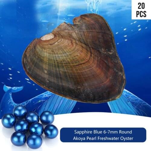 20pcs/lot Freshwater Natural Akoya Round Pearls Loose Bead Cultured Fresh Oyster Pearl Mussel Farm Supply Dropshipping