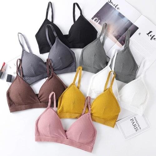 Sexy Tube Top Padded Cotton Bra Comfort Wireless Brassiere Sport Seamless Female Bralette Underwear Women Push Up Lingerie Bra