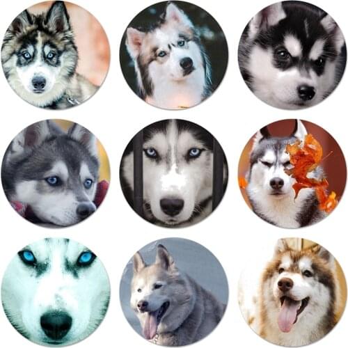 Alaskan Malamute Siberian husky dog Badge Brooch Pin Accessories For Clothes Backpack Decoration gift 58mm