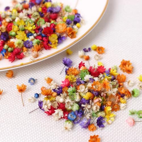 200pc Real Dried Flowers For DIY Art Craft Epoxy Resin Candle Making Jewellery Glass cover ball filler Dried Flowers Accessories