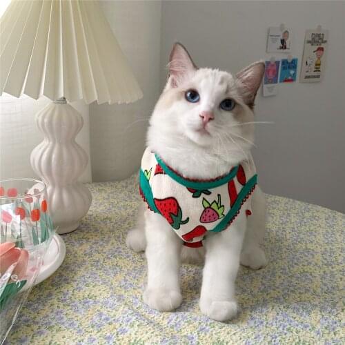New Autumn Winter Sweater Teddy Small Dog Cat Warm Clothes Pet For Kitten Puppy Clothing Lovely Hoodies Cute Pet Costume N83