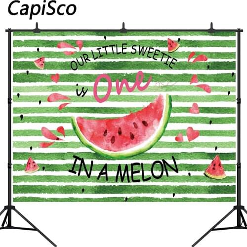 Capisco Watermelon Party Backdrop One in a Melon Birthday Party Banner Photography Background First Birthday Pink Melon Party