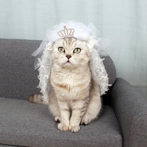 1pc 3 Size White Pet Cat Dog Crown Lace Wedding Headdress Costume Cosplay Perform Cloth Pet Wedding Party Gift Pet Supplies