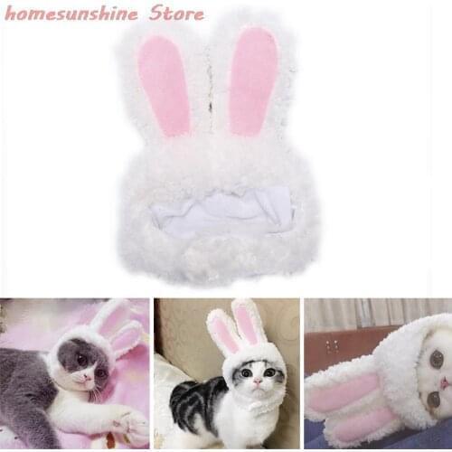 PlumHOME Clothes For Cats