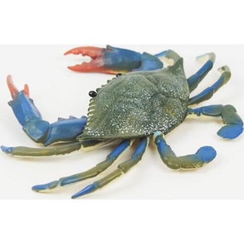 Big Blue Foot crabs Marine Animals Sea For Gift Educational Props Action Figures Hot Simulation Crab model Photograph Props