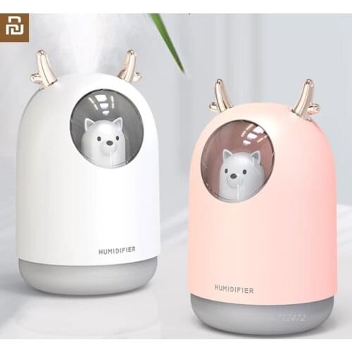 New Colorful Night Light Humidifier USB Car Home Air Purifier 300ml Hydrate Humidifying atomizer gift