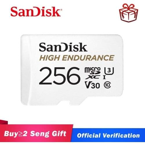 Sandisk micro sd class10 de tarjeta sd tf card 32 gb 64GB Memory Card 128 gb 256gb High Endurance Video Monitoring microsd