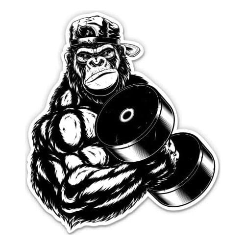 Express Lifting Weights Work Out Gorilla - 3" Vinyl Sticker - for Car Laptop I-Pad Phone Helmet Hard Hat - Waterproof Decal