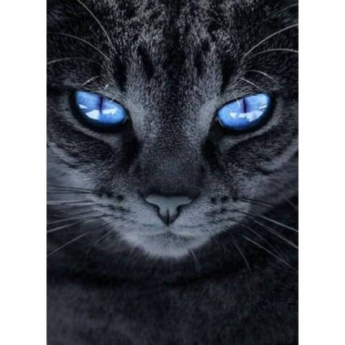 5D DIY Diamond Paintings Full Drill Round Blue Eyes Black Cat Mosaic Embroidery Animals Pattern Handmade Art Decoration Home