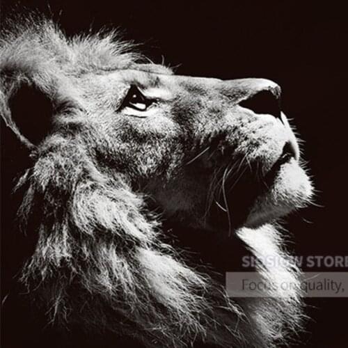 Lions Full Drill Black White Animals 5d Diy Diamond Paintings Cross Stitch art Square Round Mosaic Daimond Embroidery Decor Home