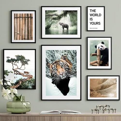 Jungle Animals Photo Tiger Monkey Panda Parrot Wall Art Canvas Painting Nordic Posters And Prints Wall Pictures Kids Room Decor