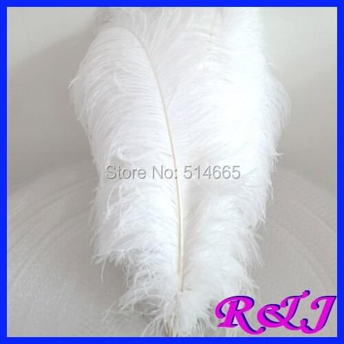 Wholesale 100PCS 55-60cm 22-24inch white OSTRICH FEATHER real ostrich plumage ostrich plumes EMS Free Shipping