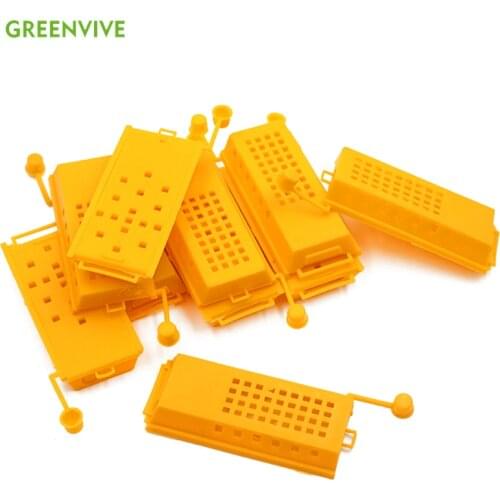 5pcs/set Bee Cage Beehive Honey Beekeeping Queen Cage Beekeeping Tools apiculture Equipments