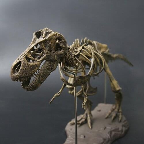 Dinosaur 4D with 54 parts Collected Dinosaur skull replica Bone Tyrannosaurus Fossil Skeleton Animal Model Teaching Tool