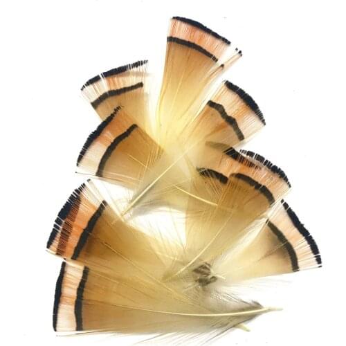 20/50PCS Golden Pheasant Feather High-quality natural feather 3-6cm for Jewelry Making Decorative Carnival Handicrafts Accessory