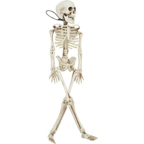 40CM Flexible Human Anatomical Anatomy bone Skeleton Model Medical Medical Learn Aid Anatomy art sketch Wholesale