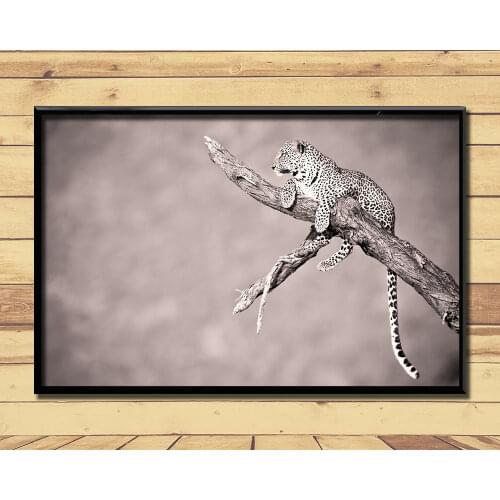 Jaguar Strong And Fast Land Animal (34) Wall Posters Prints Silk Art Painting For Home Wall Bedroom Decor
