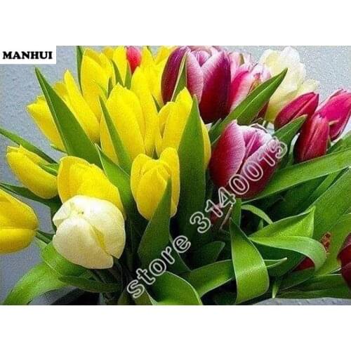 Needlework 3d diy full resin diamond painting cross stitch square diamond embroidery Tulip flower diamond mosaic crafts BEC024