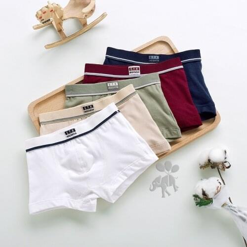 Boys Underwear Children Panties Boys Cotton Boxer Shorts Childrens Panties Kids Underwear For 2-16 years 5 pcs